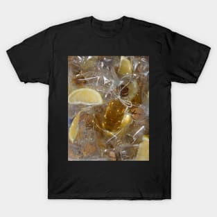 Taquila at Magpie Springs by Avril Thomas T-Shirt